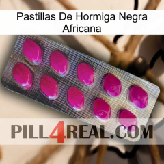 African Black Ant Pills 09